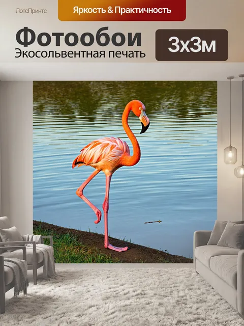 Фотообои с розовым фламинго, стоящим на одной ноге у края пруда, с отражениями светлых закатов в воде