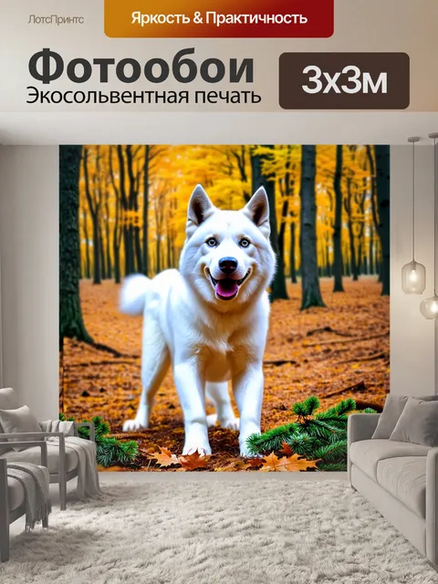Фотообои Белый хаски в осеннем лесу:Detailed portrait of a white husky standing in a forest with brown leaves and…