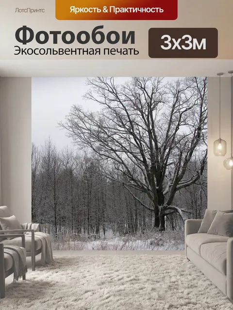 Фотообои Зима