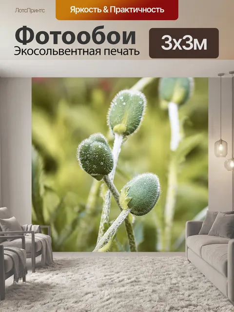 Фотообои Бутон