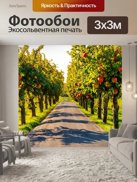 Фотообои утро: дорога, окруженная фруктовыми деревьями, пробуждающимися под светом солнца