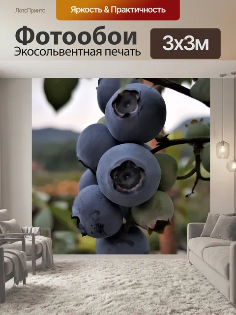 Фотообои Блуберри