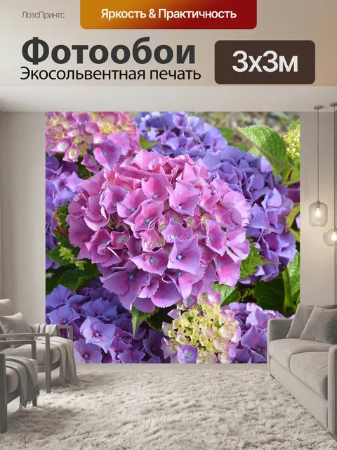 Фотообои Гортензия фиолетовый