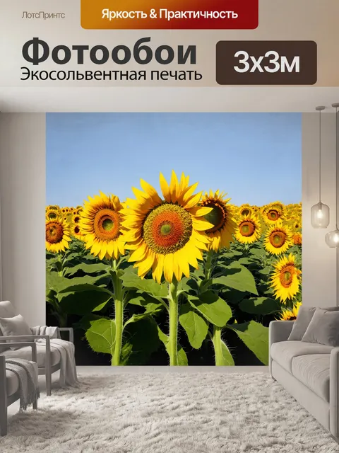 Фотообои описание: огромные подсолнухи, тянущие свои яркие желтые лепестки к теплому солнцу, заполняют бескрайнее поле