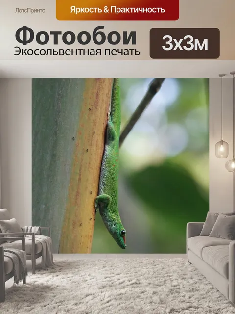 Фотообои Ящерица