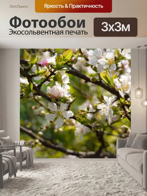 Фотообои Сакура