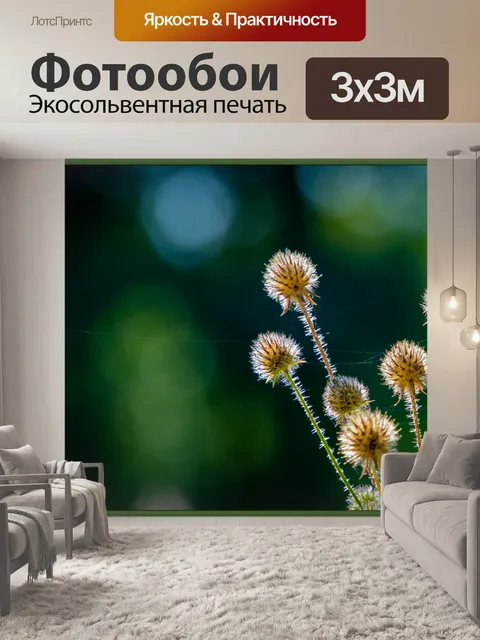 Фотообои Ворсянка, растение