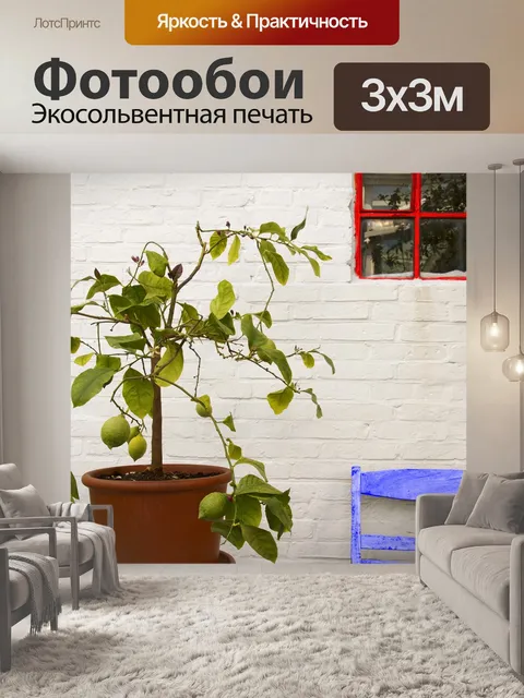 Фотообои Лимон