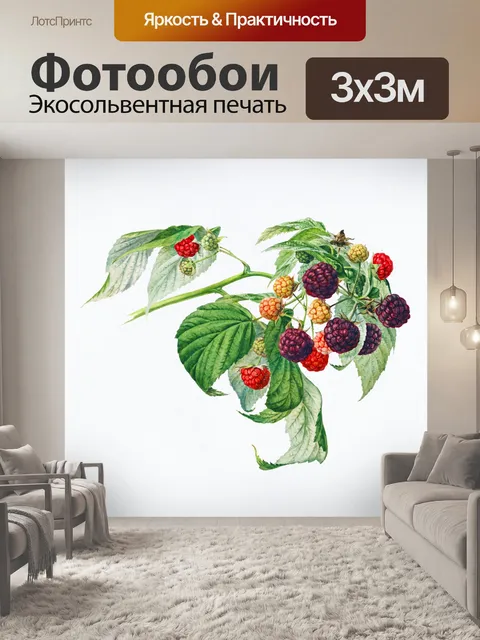 Фотообои Малина Винтаж