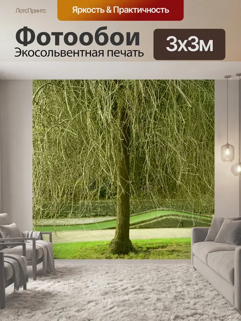 Фотообои Зимнее дерево