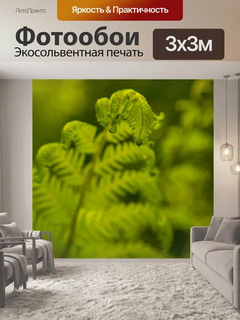 Фотообои папоротник