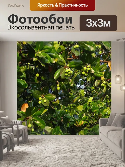 Фотообои Листья