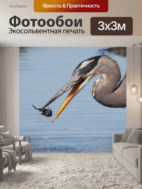 Фотообои Цапля