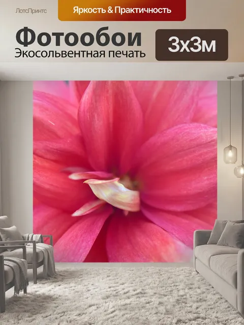 Фотообои Размер георгина 3