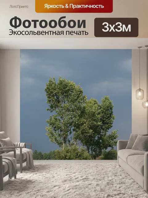 Фотообои деревья с капризными облаков