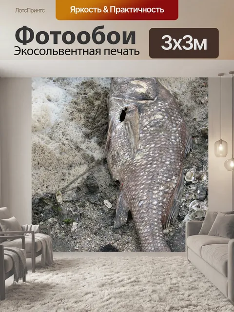 Фотообои Текстура Бич гранж