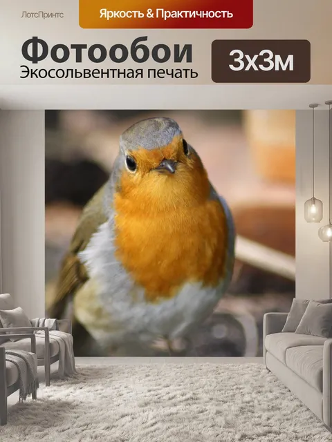 Фотообои Птица