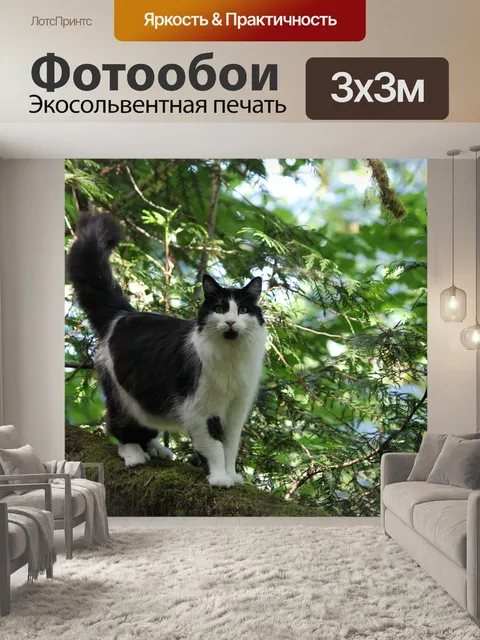 Фотообои Кошка