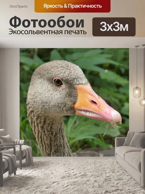 Фотообои Гусь