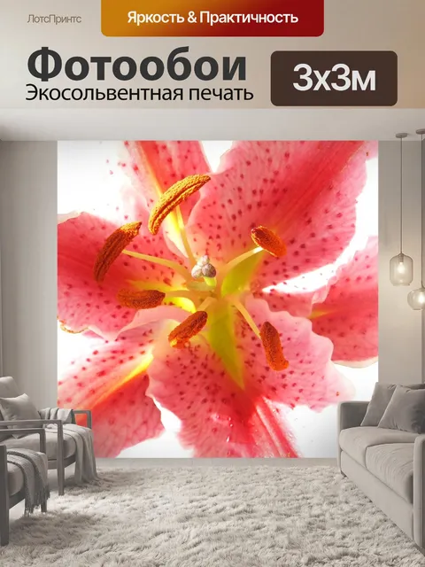 Фотообои Лили