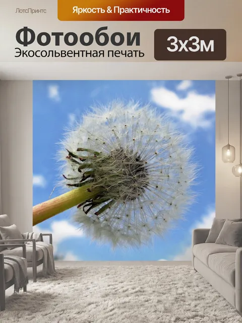 Фотообои Белый