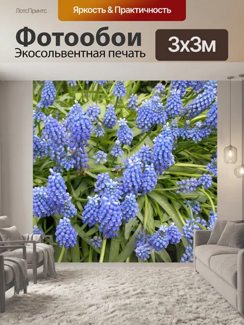 Фотообои Гиацинт