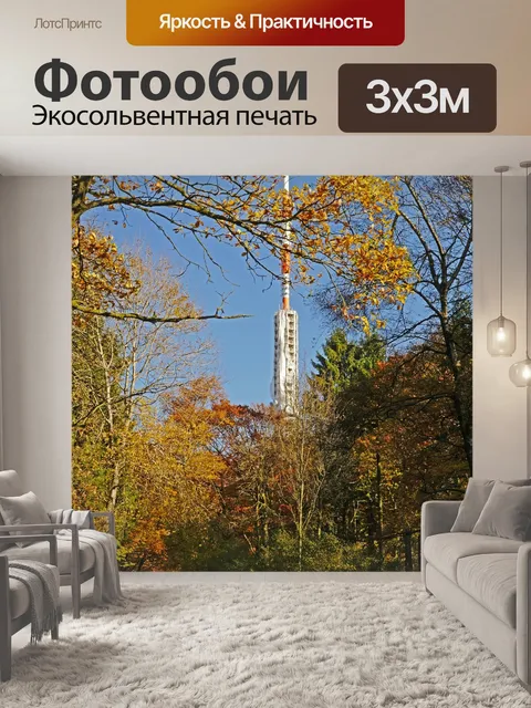 Фотообои Осенний лес