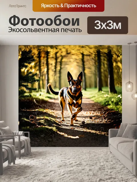 Фотообои старая немецкая овчарка