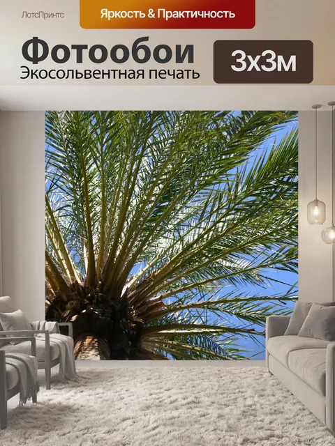 Фотообои Пальмовые листья