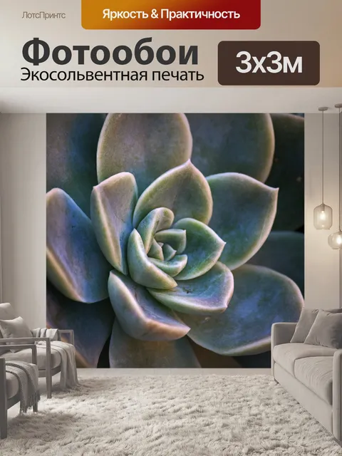 Фотообои свет на краях листьев пустынной розы