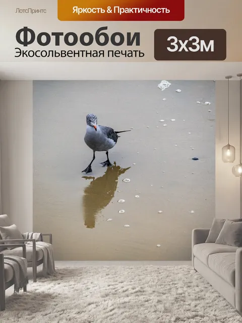 Фотообои чайка