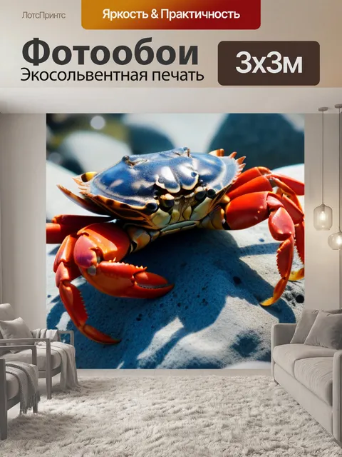 Фотообои семейство крабов, исследующих прибрежные камни