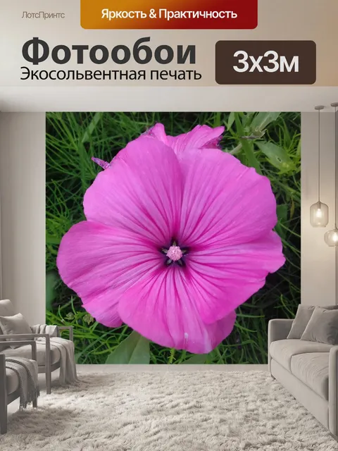 Фотообои Розовый