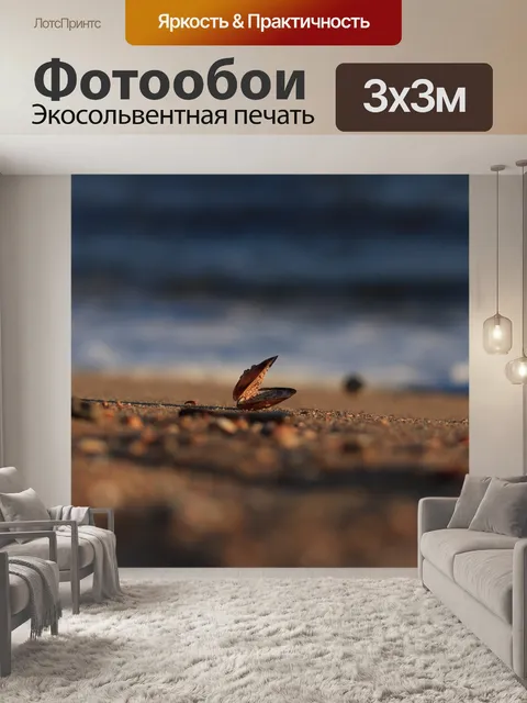 Фотообои Ракушка