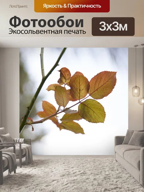 Фотообои Листья