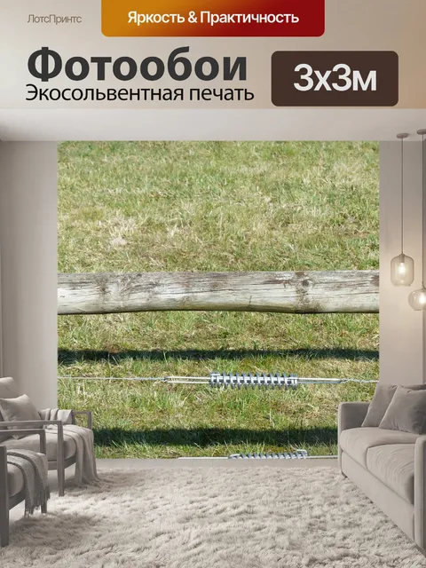 Фотообои Пружины
