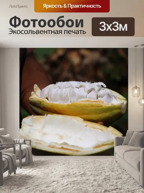 Фотообои Какао