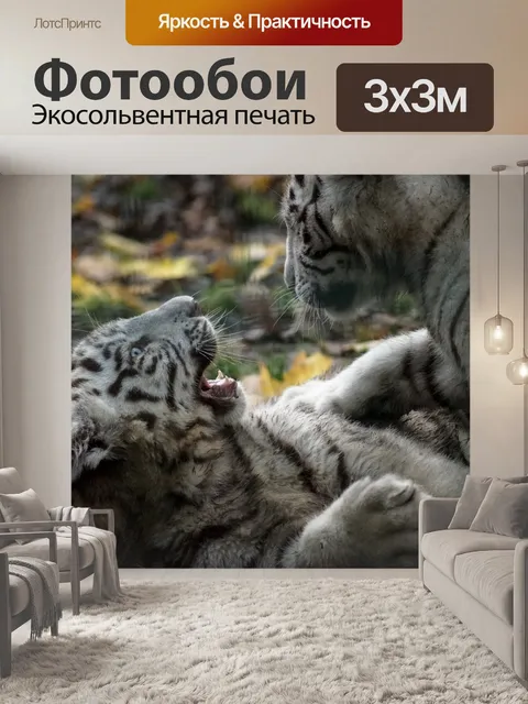 Фотообои Тигр