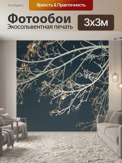 Фотообои зимняя ночь