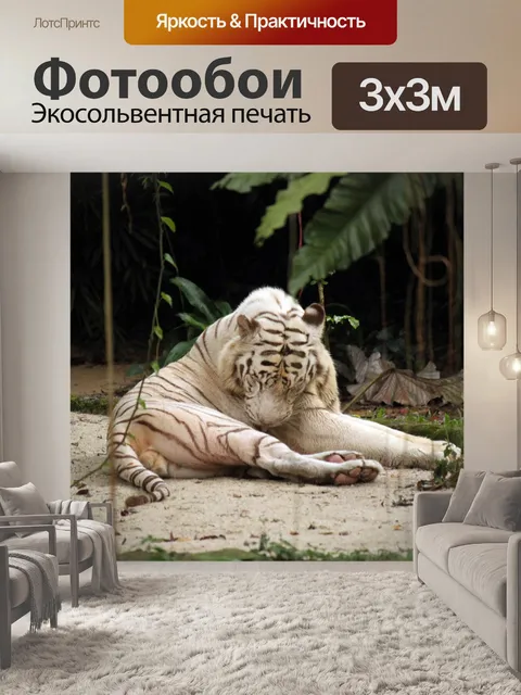 Фотообои Белый тигр сидит