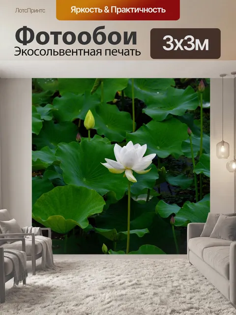 Фотообои Белый