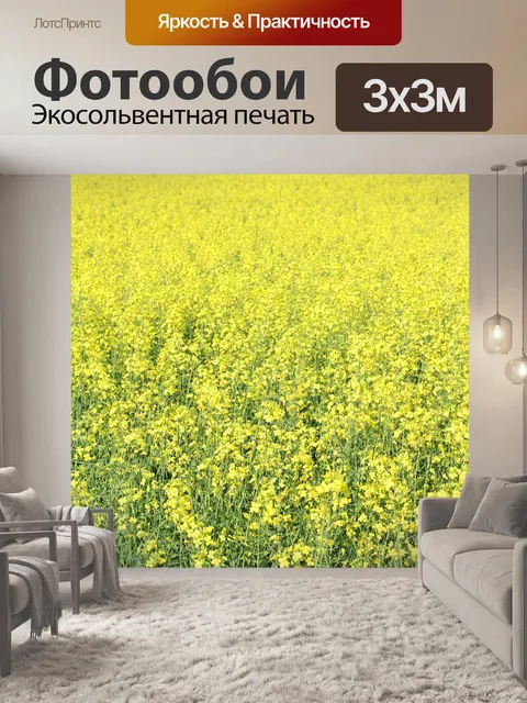 Фотообои Зерно рапса завод
