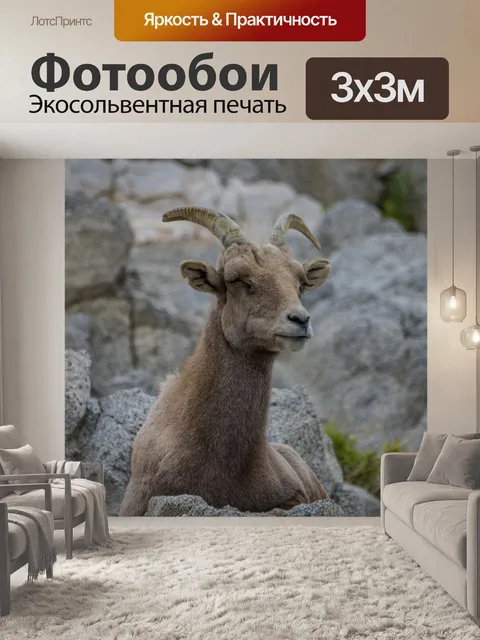 Фотообои Горный козел