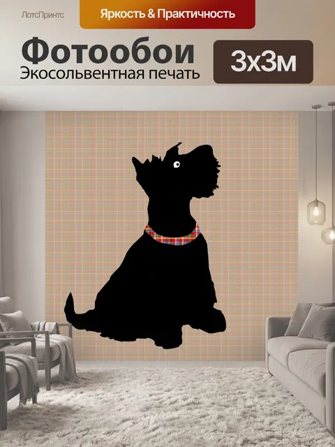 Фотообои Собака шотландского терьера