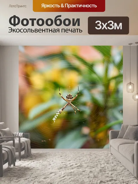 Фотообои Паук