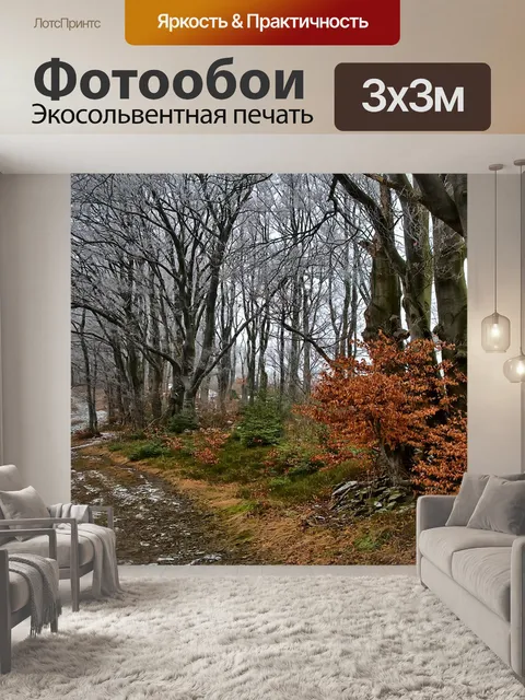 Фотообои Лес