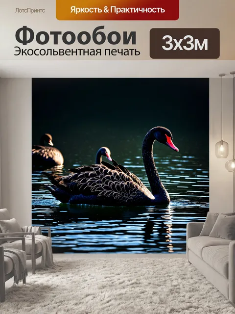 Фотообои темный фон с изображением черных лебедей, плавающих в освещенном озере, символизируя грацию и тайну