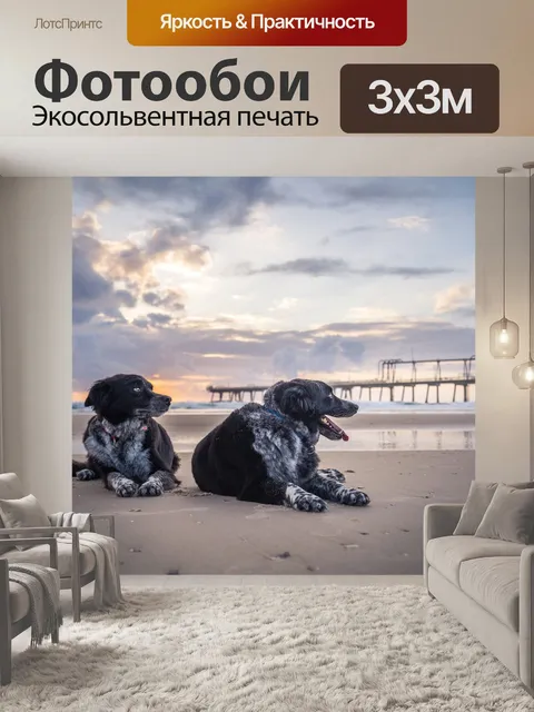 Фотообои Собаки