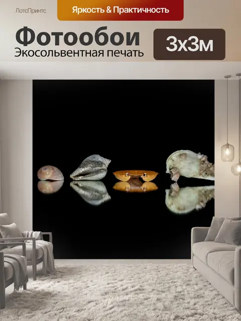 Фотообои отражение, зеркало, предмет