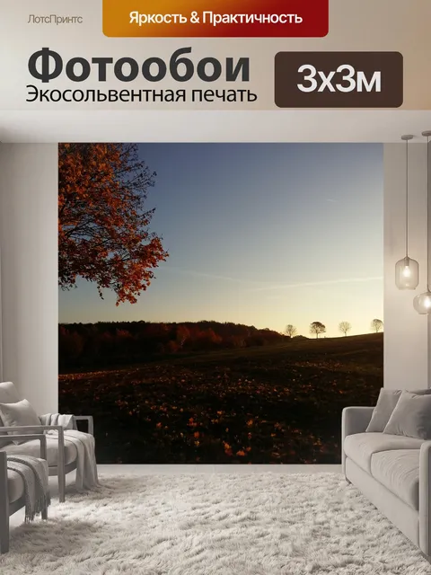 Фотообои Падение